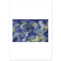 a7902d95-9f18-4c50-ba64-b8bdd46389a0